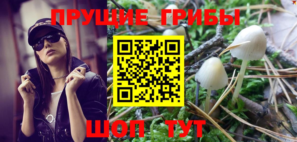 Псилоцибиновые грибы MAGIC MUSHROOMS  Вход с VPN  Ефремов 